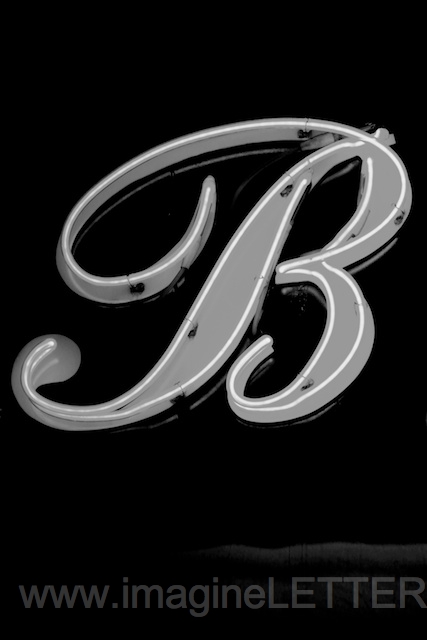 Wall_Art_Alphabet_Photography_Art_ 290.jpg